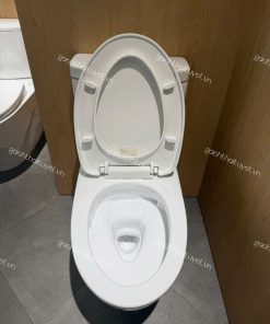 Bàn cầu hai khối nắp đóng êm ToTo mã CS948DT10