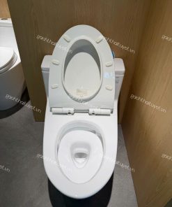 Bàn cầu một khối nắp đóng êm ToTo MS625DT8