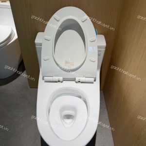 Bàn cầu một khối nắp đóng êm ToTo MS625DT8