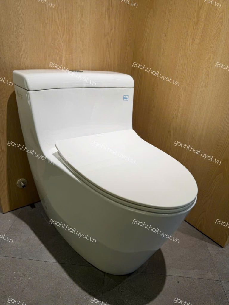 Bàn cầu một khối nắp đóng êm ToTo MS636DT8