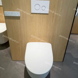 Bàn cầu treo tường nắp điện tử ToTo mã CW812REA