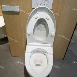 Bàn cầu treo tường nắp điện tử ToTo mã CW812REA
