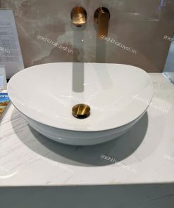 Chậu đặt bàn ToTo mã LT4704G17