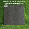 gạch Taicera 30x60 mã G63227J