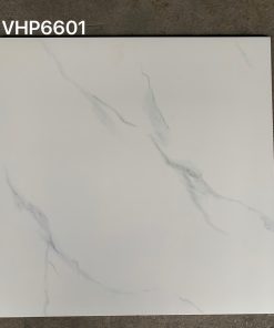 Gạch lát nền Viglacera 60×60 VHP6601