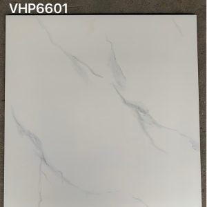 Gạch lát nền Viglacera 60×60 VHP6601