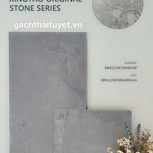 Gạch Mocharock 60x120 mã DK81235P