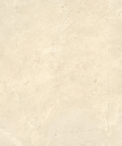 Gạch nhập khẩu Italia 120x120 Calcis Avorio