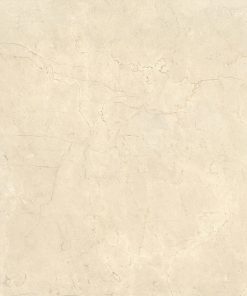 Gạch nhập khẩu Italia 120x120 Calcis Avorio