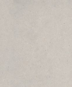 Gạch nhập khẩu Italia 120x120 Silver Grain Grey