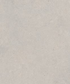 Gạch nhập khẩu Italia 120x120 Silver Grain Grey