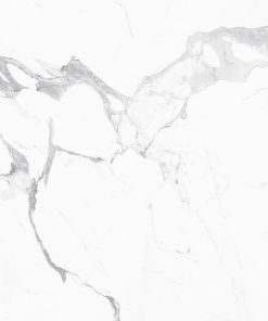 Gạch nhập khẩu Italia 120x120 Statuario Lux
