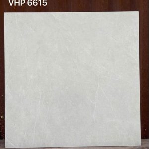 Gạch Ốp Lát 60x60cm Viglacera VHP6609