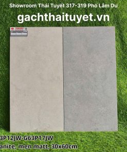 Gạch Taicera 30x60 mã G63P12JW - G63P17JW menmatt