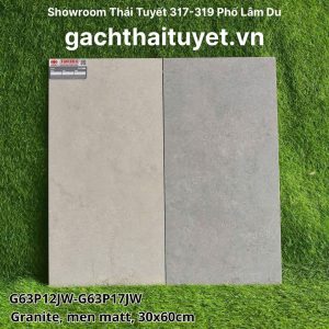 Gạch Taicera 30x60 mã G63P12JW - G63P17JW menmatt