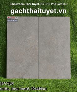 gach-taicera-30x60-ma-g63p17jw
