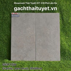 gach-taicera-30x60-ma-g63p17jw