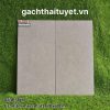 Gạch Taicera 30x60 mã G63P38JM