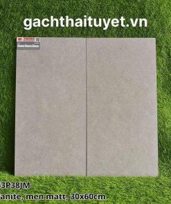 Gạch Taicera 30x60 mã G63P38JM