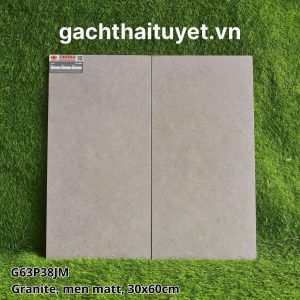 Gạch Taicera 30x60 mã G63P38JM