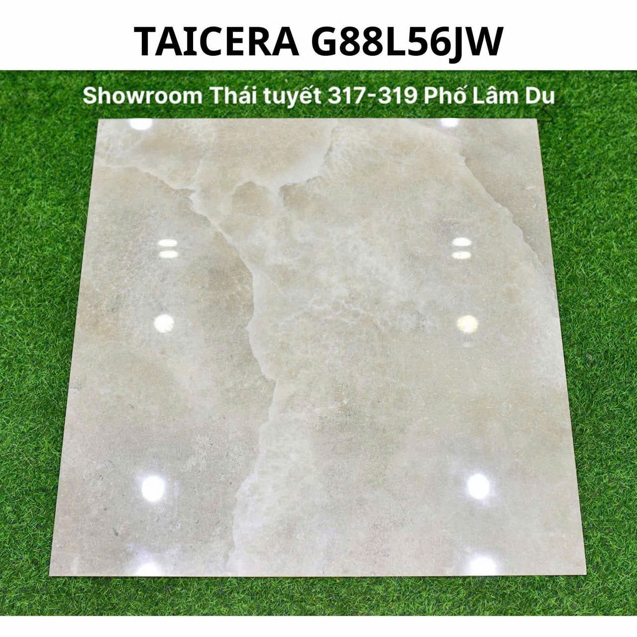 Gạch Taicera 60x60 mã G88L56JW