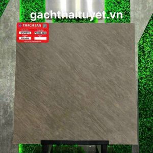 Gạch thạch bàn 60x60 mã PGM60-0230