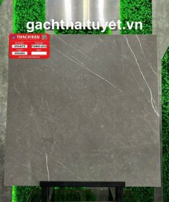 Gạch Thạch bàn 60x60 mã PGM60-0233