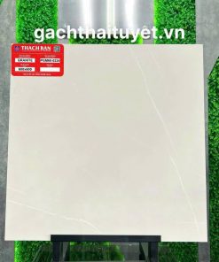 Gạch Thạch bàn 60x60 mã PGM60-0234