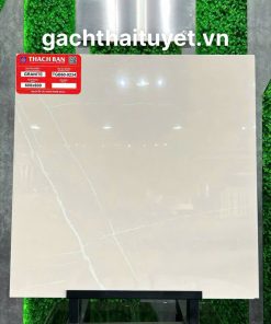 Gạch Thạch bàn 60x60 mã PGM60-0234