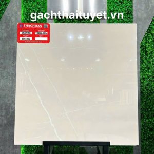Gạch Thạch bàn 60x60 mã PGM60-0234