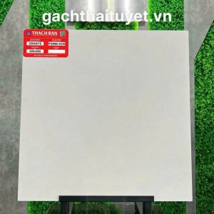 Gạch Thạch bàn 60x60 mã PGM60-0240