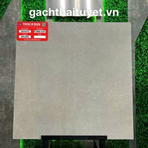 Gạch Thạch bàn 60x60 mã PGM60-0241