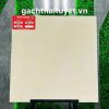 Gạch Thạch bàn 60x60 mã PGM60-0243