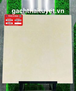 Gạch Thạch bàn 60x60 mã PGM60-0243