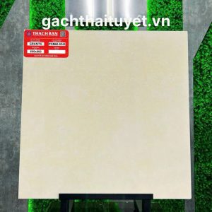 Gạch Thạch bàn 60x60 mã PGM60-0243