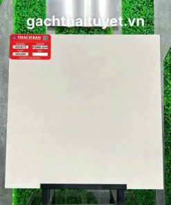 Gạch Thạch bàn 60x60 mã PGM60-0244