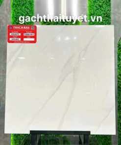 Gạch thạch bàn 60x60 mã TGB60-0011