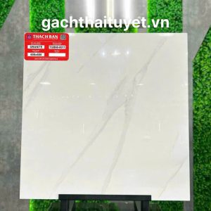 Gạch thạch bàn 60x60 mã TGB60-0011
