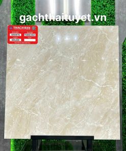 Gạch thạch bàn 60x60 mã TGB60-0041