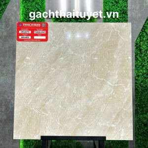 Gạch thạch bàn 60x60 mã TGB60-0041