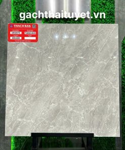 Gạch thạch bàn 60x60 mã TGB60-0042