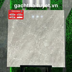 Gạch thạch bàn 60x60 mã TGB60-0042