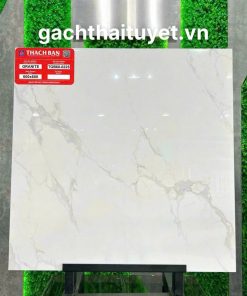 Gạch thạch bàn 60x60 mã TGB60-0225
