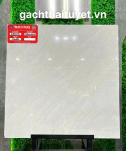Gạch thạch bàn 60x60 mã TGB60-0226