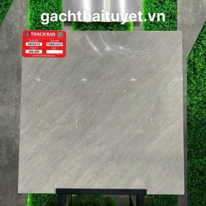 Gạch thạch bàn 60x60 mã TGB60-0227