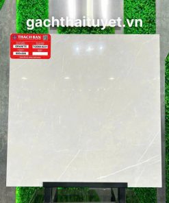 Gạch thạch bàn 60x60 mã TGB60-0231