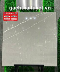 gach-thach-ban-60x60-ma-tgb60-0232