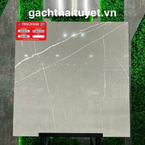 gach-thach-ban-60x60-ma-tgb60-0232