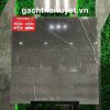 Gạch thạch bàn 60x60 mã TGB60-0233