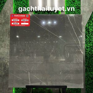 Gạch thạch bàn 60x60 mã TGB60-0233
